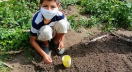 Préparation du potager